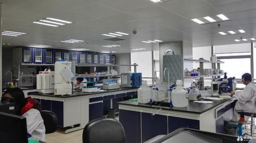 抗擊新型冠狀病毒,嘉興人才專(zhuān)家在行動(dòng)