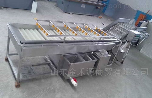 秋意正濃公司 引領(lǐng)產(chǎn)業(yè)革新，新型果蔬清洗風(fēng)干流水線與先進(jìn)汽輪機(jī)同步上市